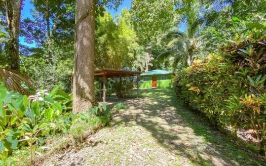 Zen Tropical Sanctuary