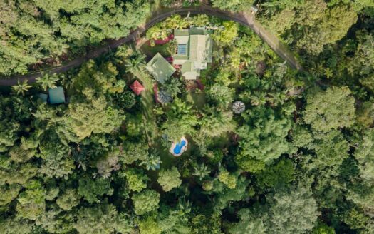 Zen Tropical Sanctuary