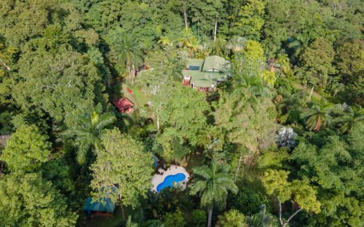 Zen Tropical Sanctuary