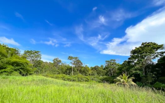 Paradise Villa with 5 Hectares of Land
