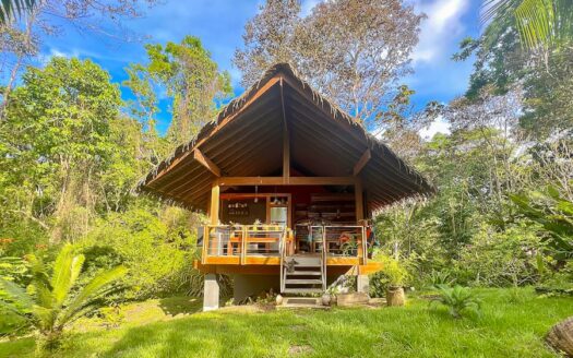 Paradise Villa with 5 Hectares of Land