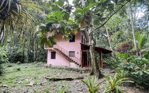 Cahuita Gardens
