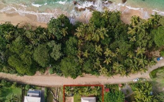 Casa Soleil et Paquerette