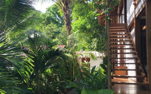 Casa Soleil et Paquerette