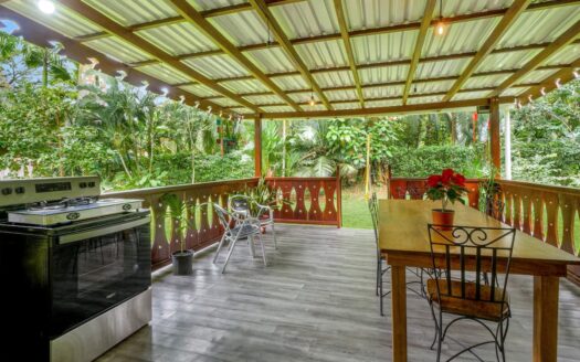 Villa Selva Verde