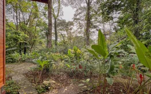 Curassow Place