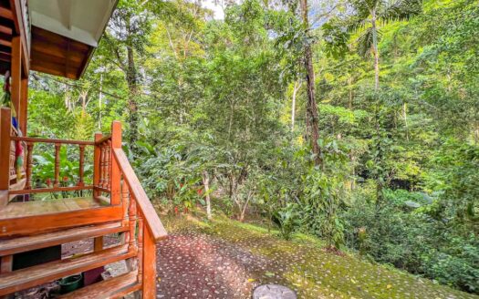 Curassow Place