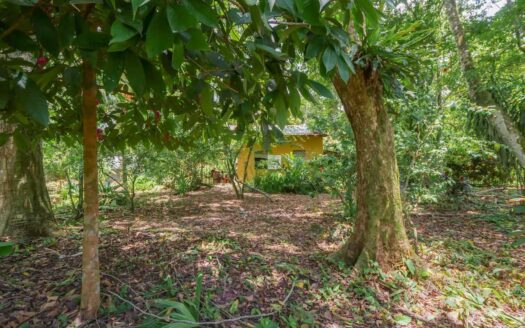 Casa Limonal