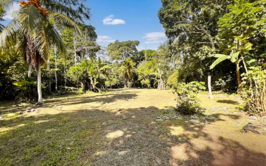 Delightful 2-Bedroom Conveniently Located