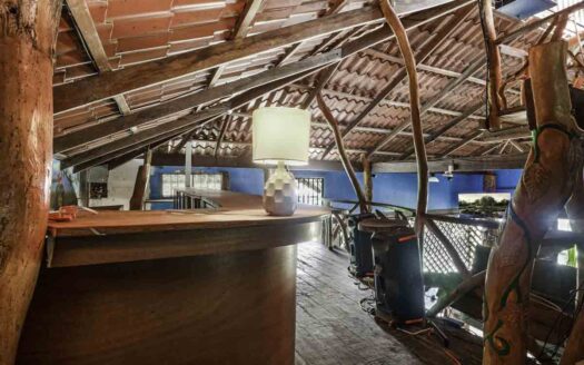 Amazing Commercial Opportunity in Hone Creek