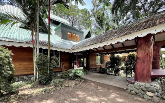 The Jungle Mansion