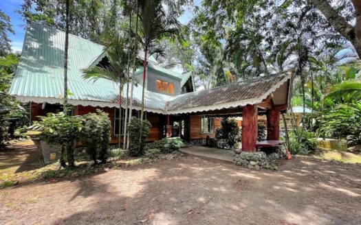 The Jungle Mansion