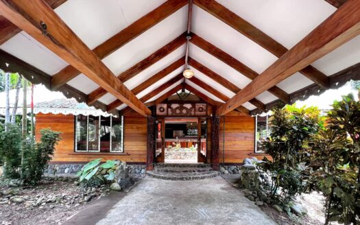 The Jungle Mansion