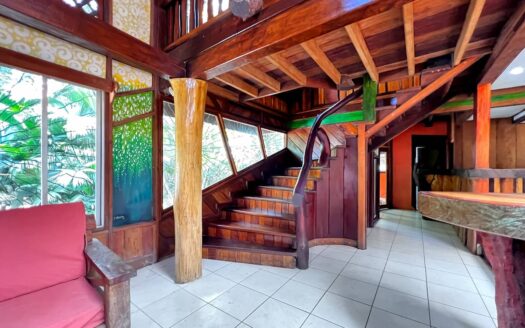 The Jungle Mansion