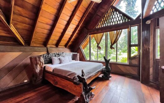 The Jungle Mansion