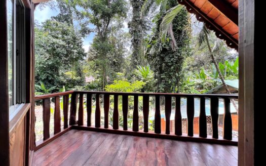 The Jungle Mansion