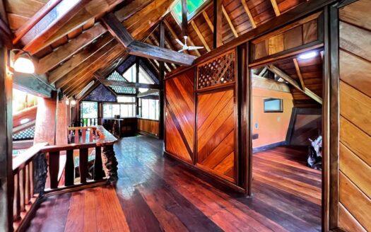 The Jungle Mansion