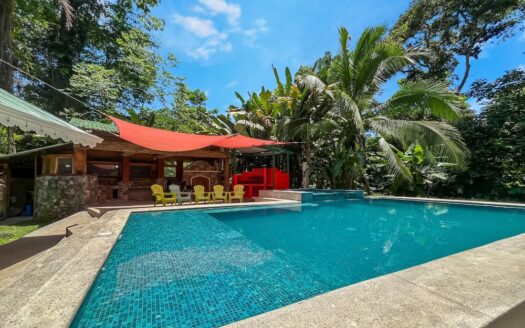 The Jungle Mansion