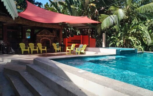 The Jungle Mansion