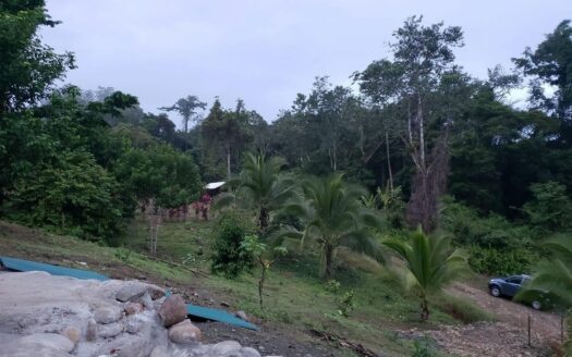 SEED Eco Village – Off grid farm