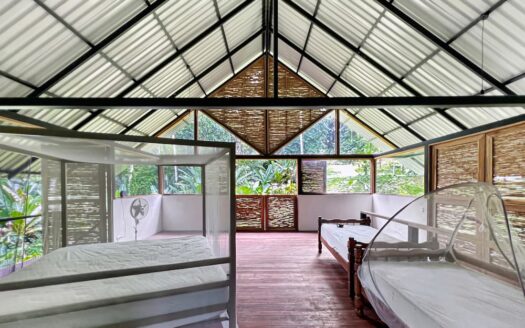 Jungle Escape at Paraiso