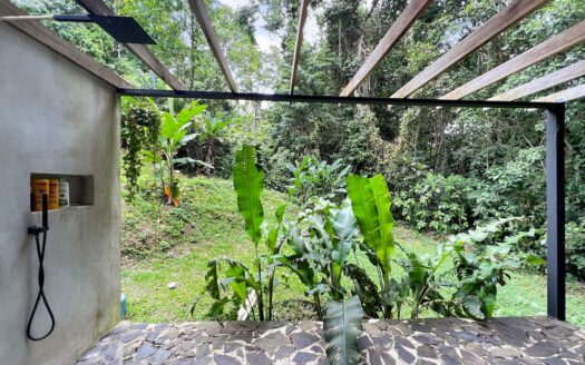 Jungle Escape at Paraiso