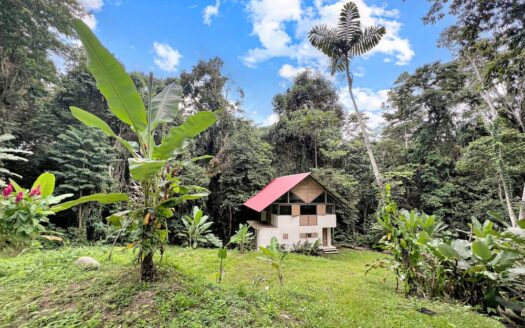 Jungle Escape at Paraiso