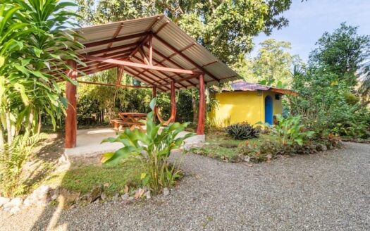 Paraiso Colibri