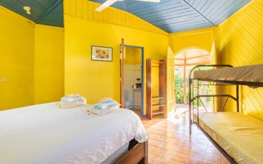 Paraiso Colibri