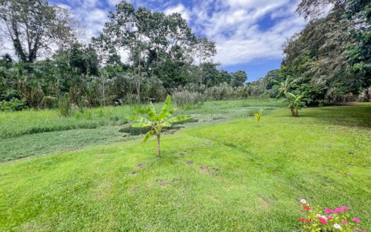 Eden Villa
