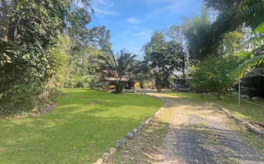 Paradise Found in Los Cielos