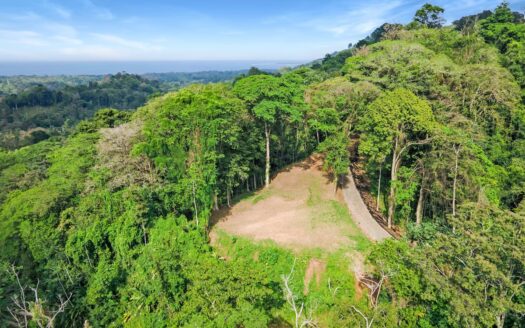 13 Hectare Farm with Ocean Views