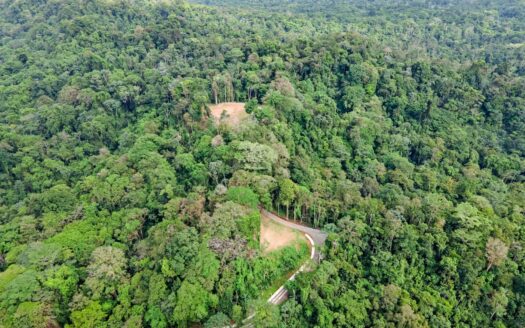 13 Hectare Farm with Ocean Views