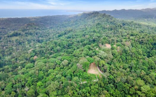 13 Hectare Farm with Ocean Views