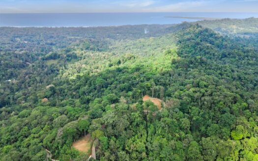 13 Hectare Farm with Ocean Views