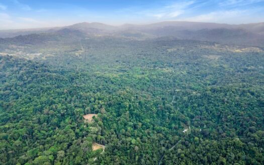 13 Hectare Farm with Ocean Views