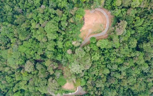 13 Hectare Farm with Ocean Views