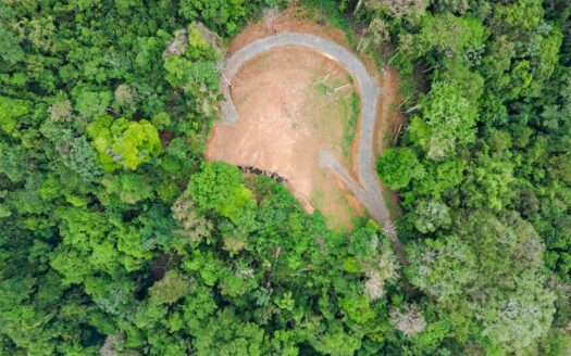 13 Hectare Farm with Ocean Views