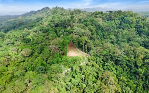 13 Hectare Farm with Ocean Views