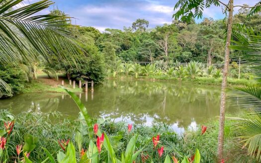 Paraiso Lake House