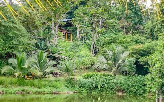 Paraiso Lake House