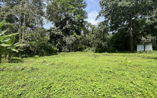 Cahuita Calling – Land to build your dream!