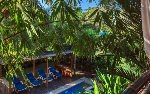 Luxury Jungle Retreat | Bed & Breakfast in Puerto Viejo