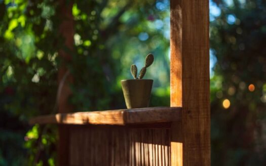 Luxury Jungle Retreat | Bed & Breakfast in Puerto Viejo