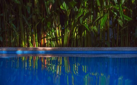 Luxury Jungle Retreat | Bed & Breakfast in Puerto Viejo
