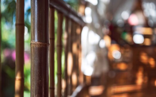 Luxury Jungle Retreat | Bed & Breakfast in Puerto Viejo