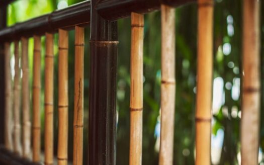 Luxury Jungle Retreat | Bed & Breakfast in Puerto Viejo