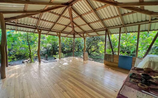 Aluna Java – Organic Farm in BriBri
