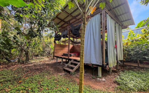 Aluna Java – Organic Farm in BriBri