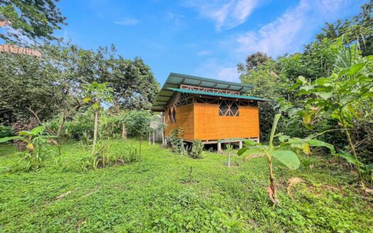 Aluna Java – Organic Farm in BriBri